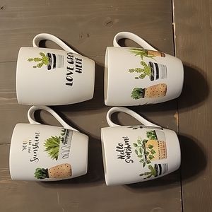 🌵🪴Stokes Coffee Cups🌿🌵